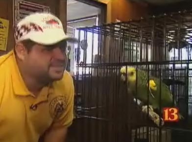 Попугай-имитатор спас семью от пожара