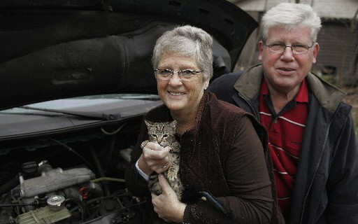 Бродячий кот проехал 2 тыс. км под капотом автомобиля