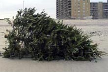 Немец выбросился из окна вместе с рождественской елкой