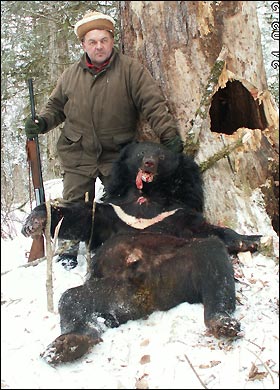Зверские методы охоты богачей на сибирских медведей (ВИДЕО)