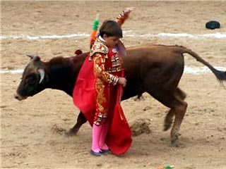 10-летнему тореадору запретили убивать быков: это калечит детскую психику