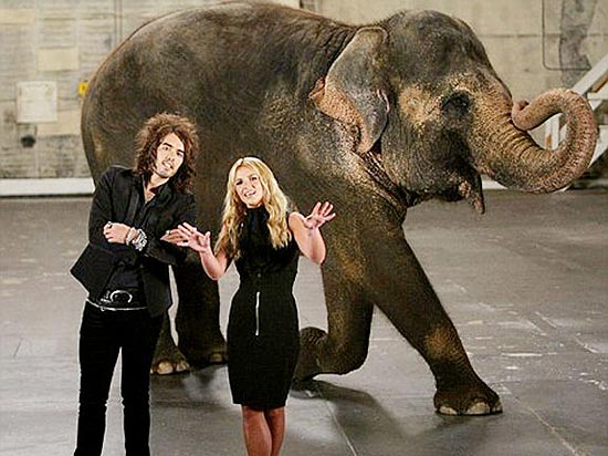 Бритни Спирс со слоном рекламируют церемонию MTV Video Music Awards