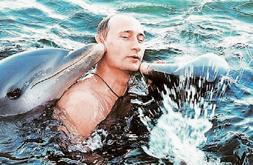 Пользу от общения с дельфинами в своё время оценил и Владимир ПУТИН