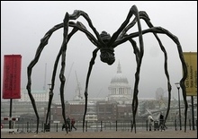 Гигантский паук появился на улице Лондона