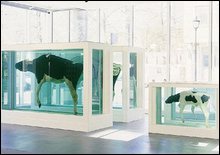 Дэмиен Херст подарил лондонской галерее куски коровы и теленка