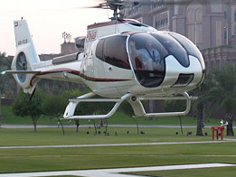 Хозяева наняли для своего кота вертолет за 10 тыс. евро