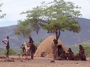 В Намибии 68 человек отравились, сообща съев одну собаку