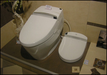 Посетитель киевского музея туалета арестован за использование экспоната