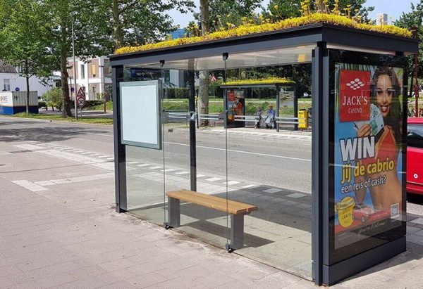 Новая выдумка голландцев для сохранения исчезающих пчел гнездится на автобусных стоянках