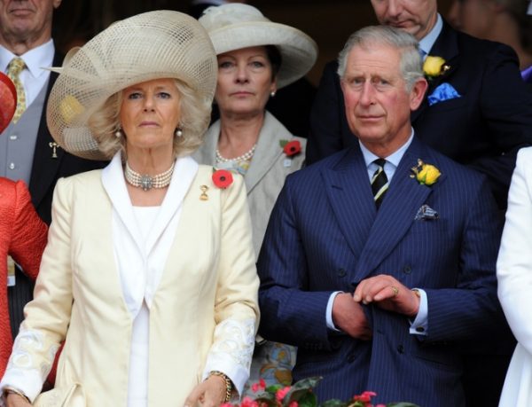 Действительно похож - У Камиллы Паркер-Боулз и принца Чарльза объявился внебрачный ребенок