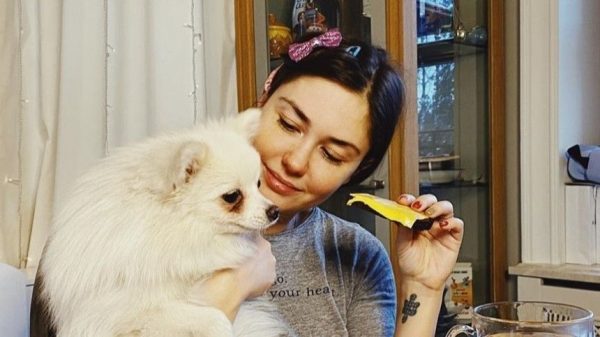 Прилучный потерял собаку на отдыхе, Агата из Москвы помогла ее найти