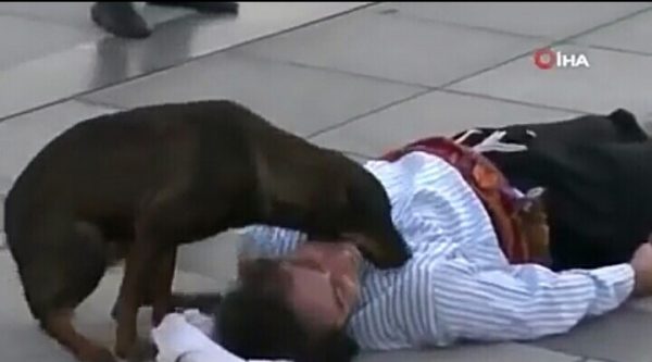 Нуману Узунсо и собака-«спаситель»