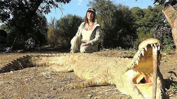 И этому крокодилу не повезло встретить на своем пути эту женщину