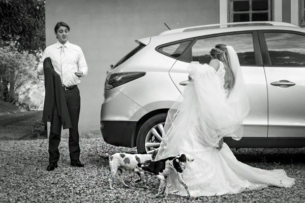 Зато мне хорошо! Самые смешные свадебные фото с участием собак