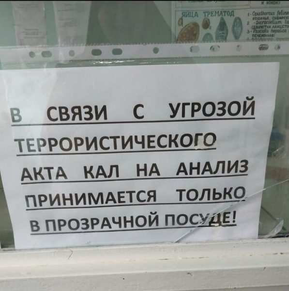 "Отдам в женские руки своего 50-летнего сына", - самые уморительные объявления, которые могли написать только в России