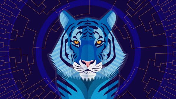 Голубой тигр 2022