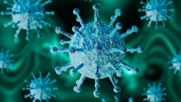 Изображение коронавируса