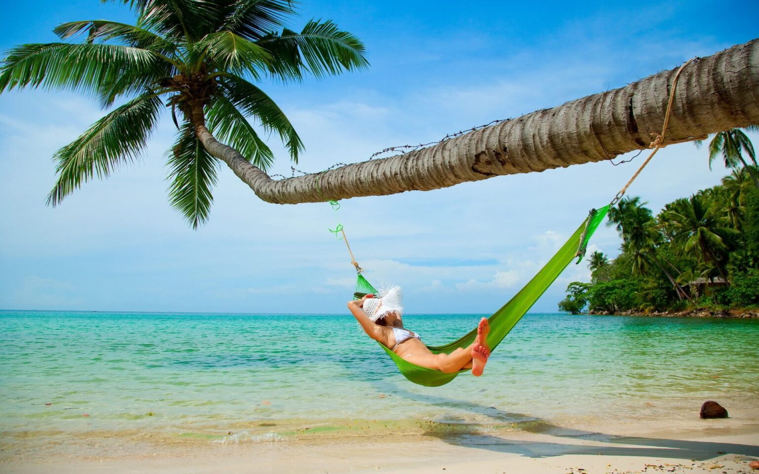 Fly relaxing
