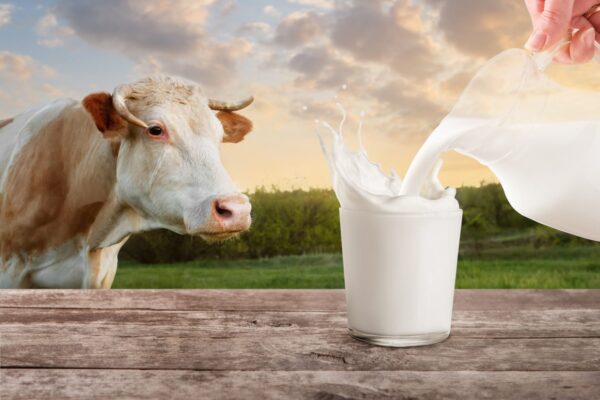 Гормональные сбои и онкология: чем опасно для человека растительное молоко