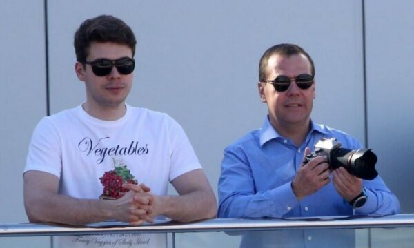 Илья и Дмитрий Медведевы
