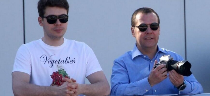 Илья и Дмитрий Медведевы