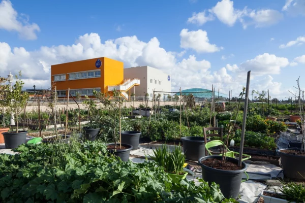 Учатся дети политиков и бизнесменов: как выглядит израильская элитная частная школа, в которой учатся дети Пугачевой и Галкина*