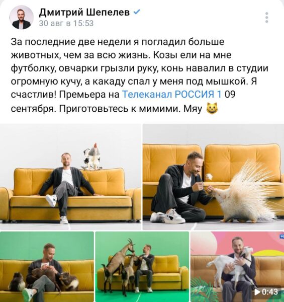 На новость о возвращении осудившего СВО Шепелева на федеральный канал отреагировали в Госдуме: "Нужно не только его туда не допускать, но и редакторам надавать по ушам за такое"
