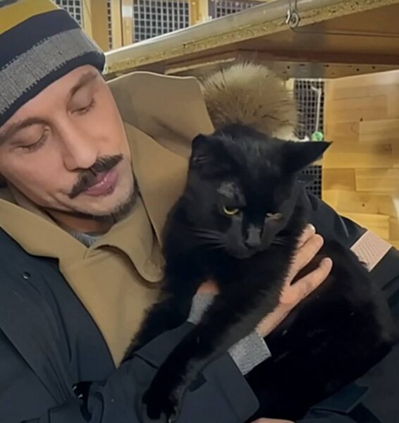 "Сразу спрятался", - Дима Билан рассказал, как поживает котик, которого он привез домой с Донбасса