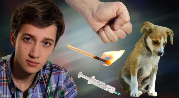 Настоящее зверство! Звезду «Склифосовского» обвиняют в жестоком обращении с собаками