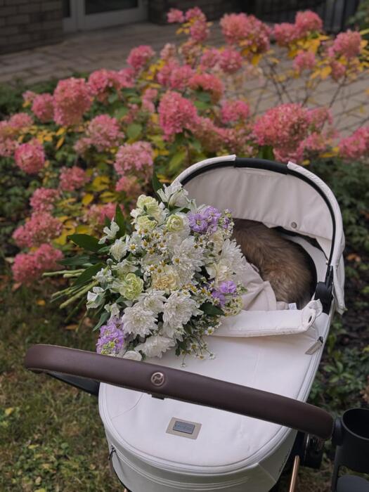 d418b678d73246b971696a7e5b1d1205