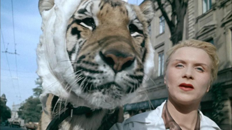 Плен, тигры и забвение: как жила «укротительница» Назарова