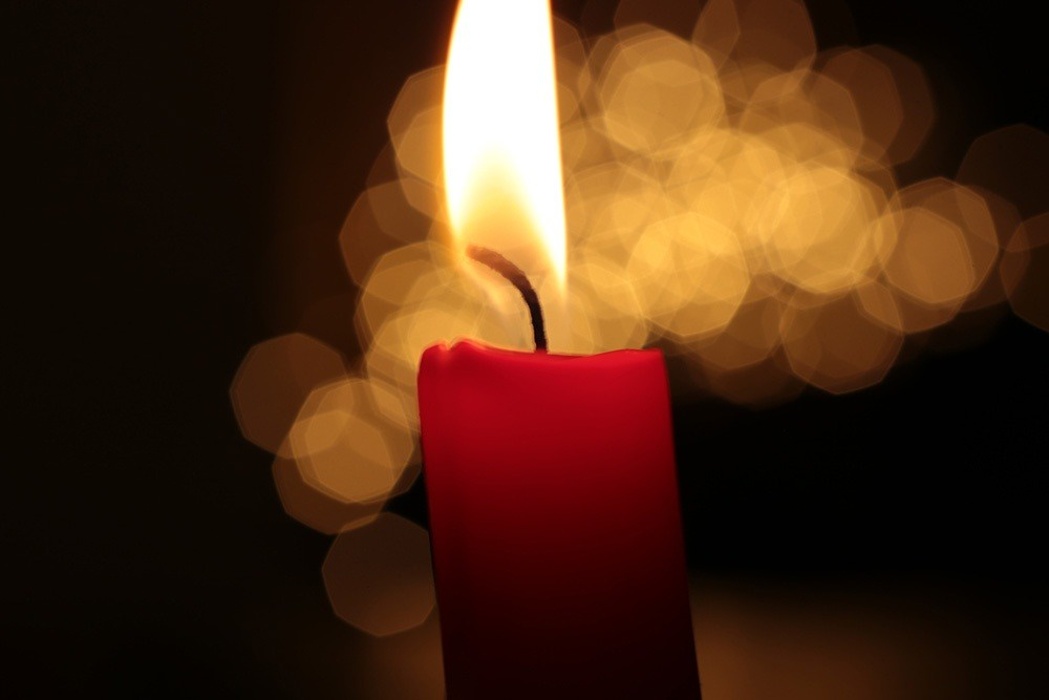 040ddc0d6144c314a1b4e16803762f4c