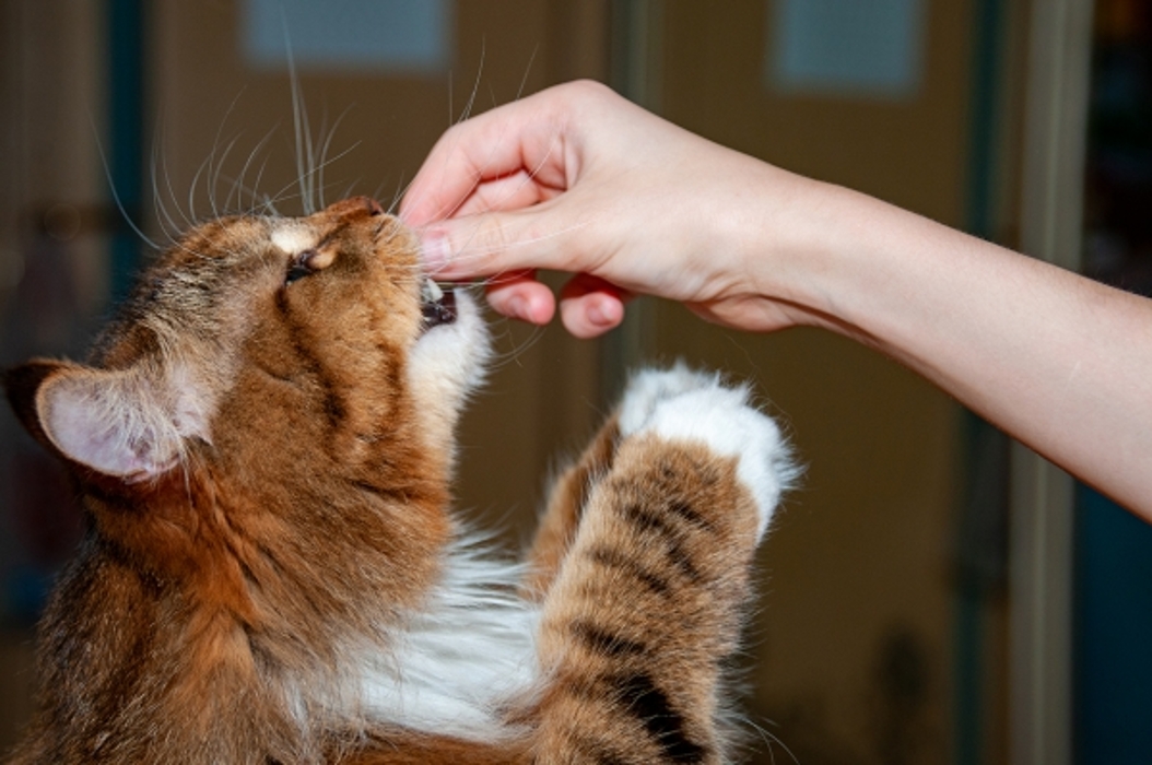 284134ae702e644a2d43d14877e301a3