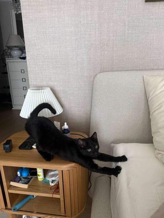 4d3c6517f5649a90b1e20e5e104d6fea