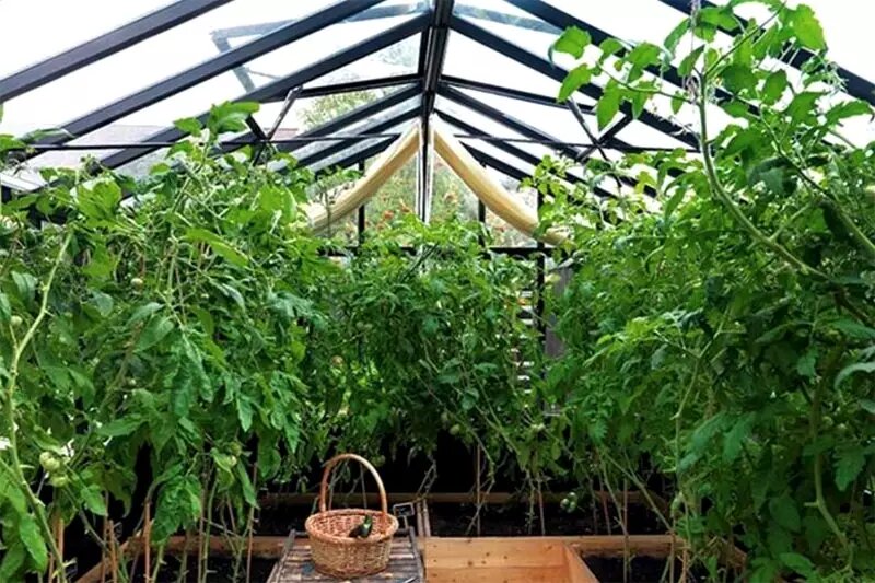 «Там пахнет детством»: как сын Никиты Михалкова построил дом-мечты в Жуковке, поразивший даже Кончаловского