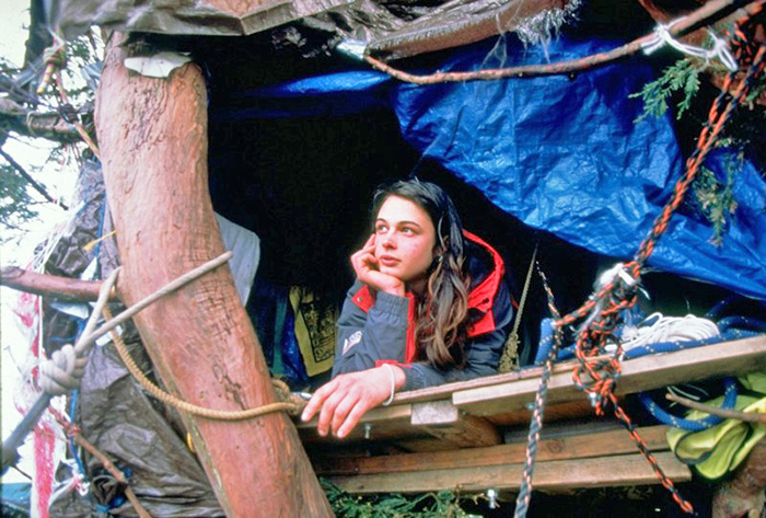 738 дней на дереве: как девушка остановила лесорубов