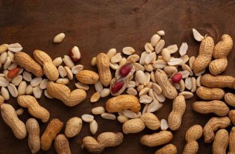 «Всего 60 граммов в день!»: учёные из Маастрихтского университета раскрыли секрет острого ума после 60 лет