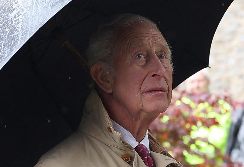 Он правит всего 3 года, но уже лишил брата титулов: что известно о дерзких решениях короля Карла III