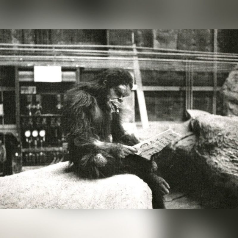 «Он обнимал дракона!»: чем на самом деле занимаются Джокер и Гарри Поттер за кадром?