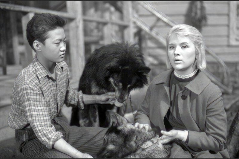 «Он не мог долго продолжаться»: как роковой роман 20-летней Галины Польских разрушил жизнь её мужа в 28 лет