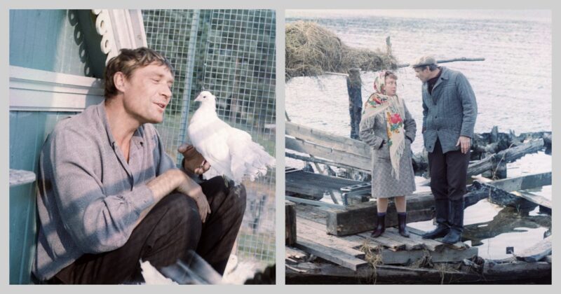 «Я не хотел жить»: как 80-летний Александр Михайлов пережил кому, войну в Чечне и нашёл любовь после 35 лет мучений