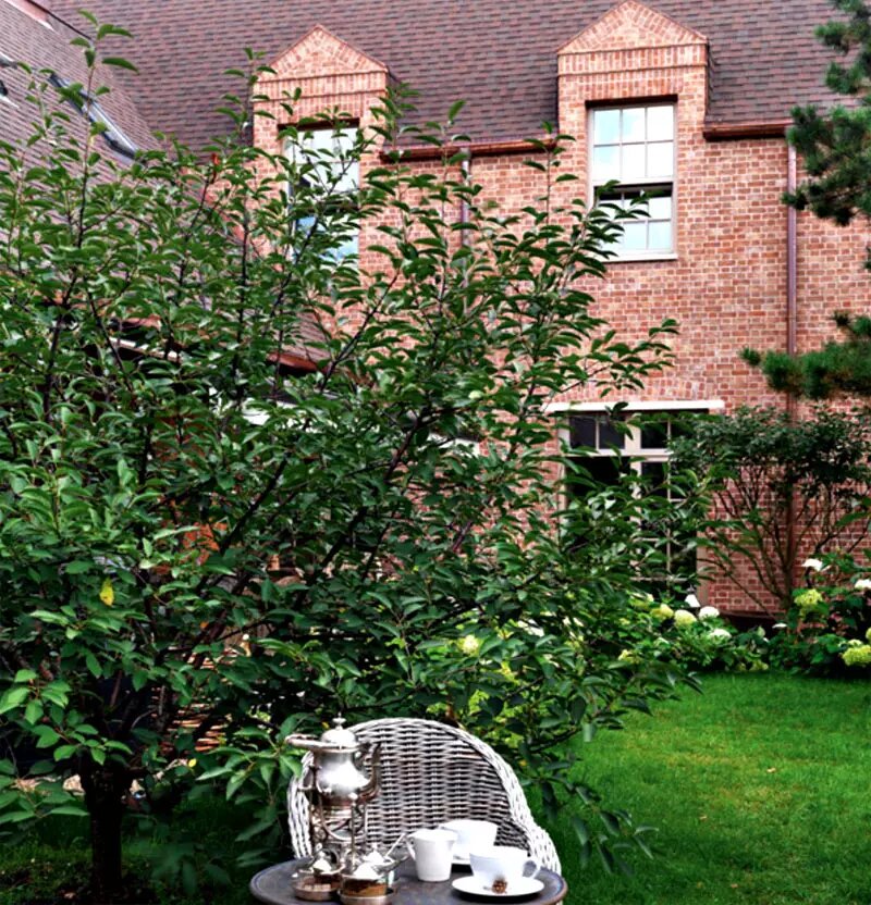 «Там пахнет детством»: как сын Никиты Михалкова построил дом-мечты в Жуковке, поразивший даже Кончаловского