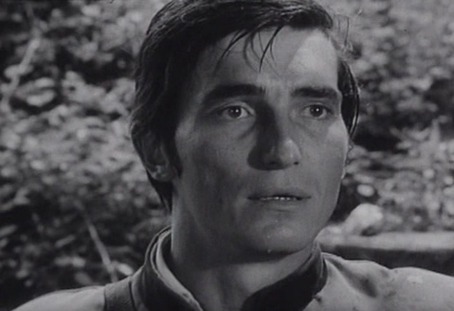 «Ради него я была готова бросить всё!»: почему актриса Барбара Брыльска, бросив мужа, так и не вышла замуж за любовь всей своей жизни