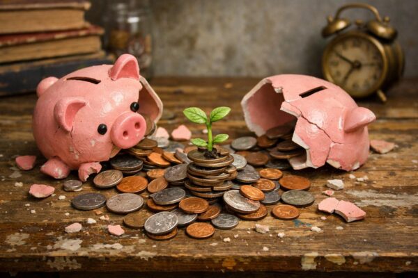 Как избежать штрафов и оптимизировать учет: полный гид по фискализации для малого бизнеса