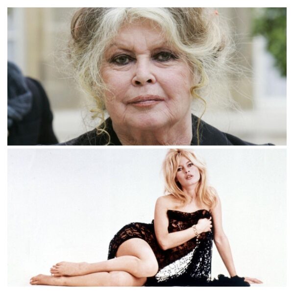 Брижит Бардо ненавидела беременность и отказалась от сына: самая темная глава ее жизни