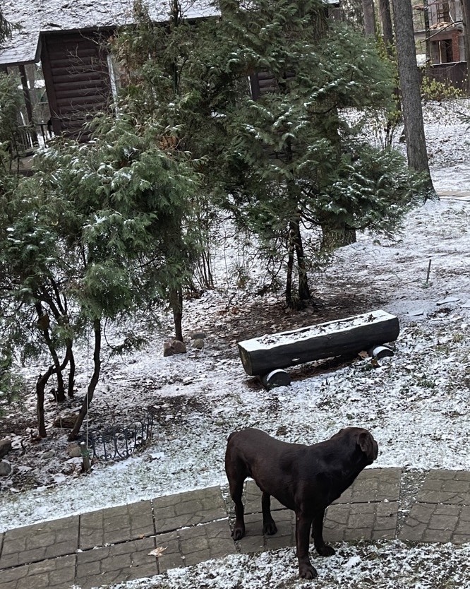 «Там нет ощущения музейной холодности»: как выглядит сказочный дом фигуристки Натальи Бестемьяновой