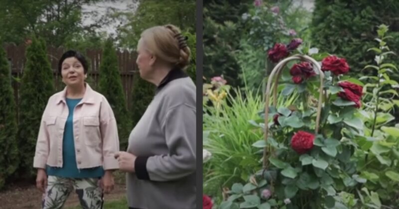 40 лет строили дом, но получили его только сейчас: как выглядит уютное семейное гнёздышко 78-летней Валентины Теличкиной