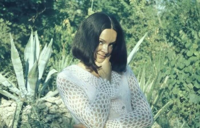 «Я был весь в шерсти и перьях»: как красавица-манекенщица бросила Гафта ради другого