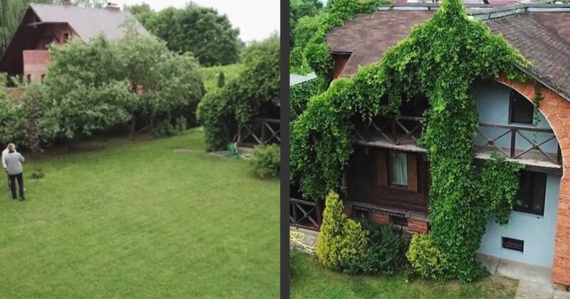 40 лет строили дом, но получили его только сейчас: как выглядит уютное семейное гнёздышко 78-летней Валентины Теличкиной