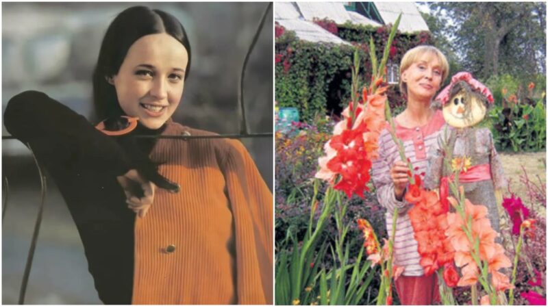 «Жалко Михаила Ивановича»: как звёзды советского кино бежали от славы в глушь и чем это обернулось